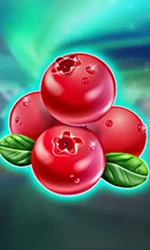 Winterberries